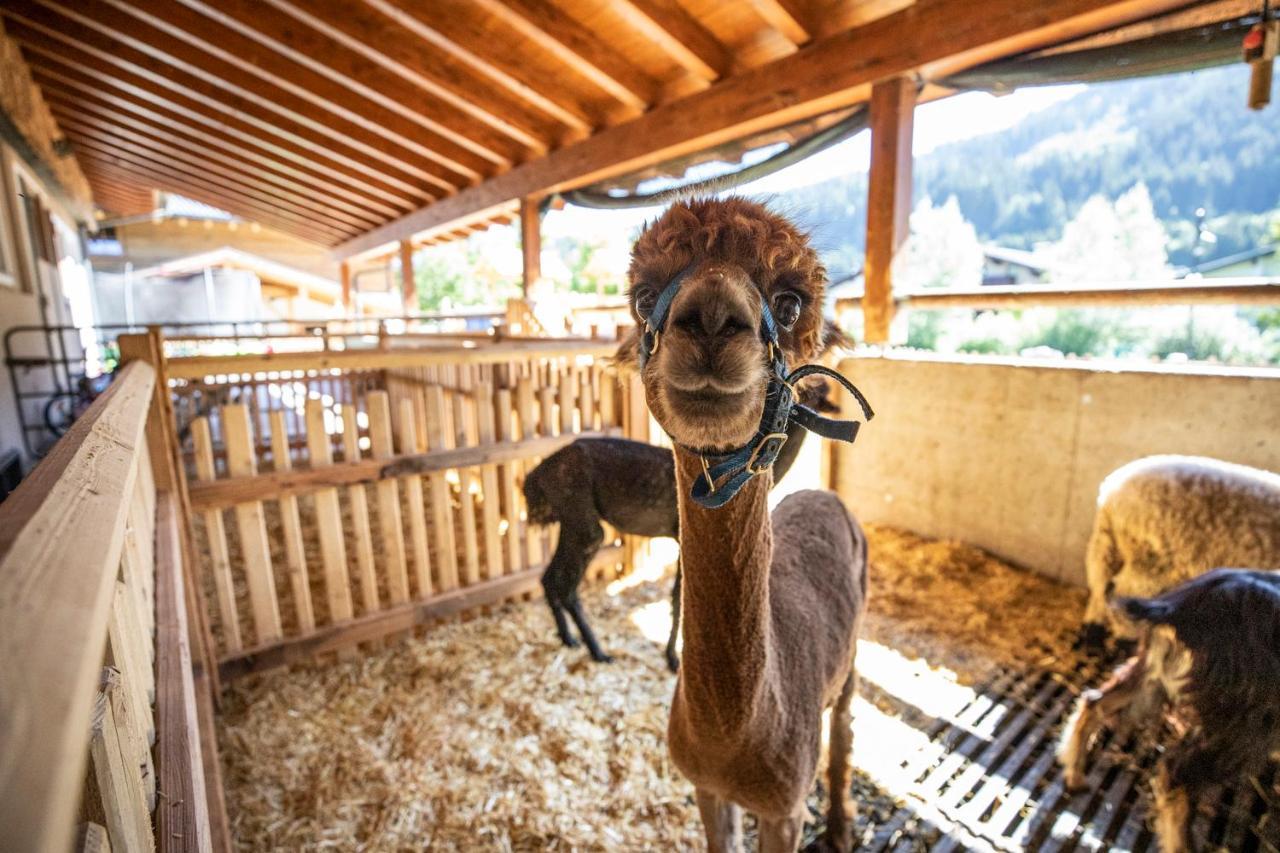 Bauernhof Vorderklinglhub Farm stay *