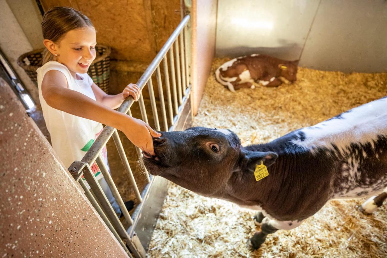 Bauernhof Vorderklinglhub Farm stay