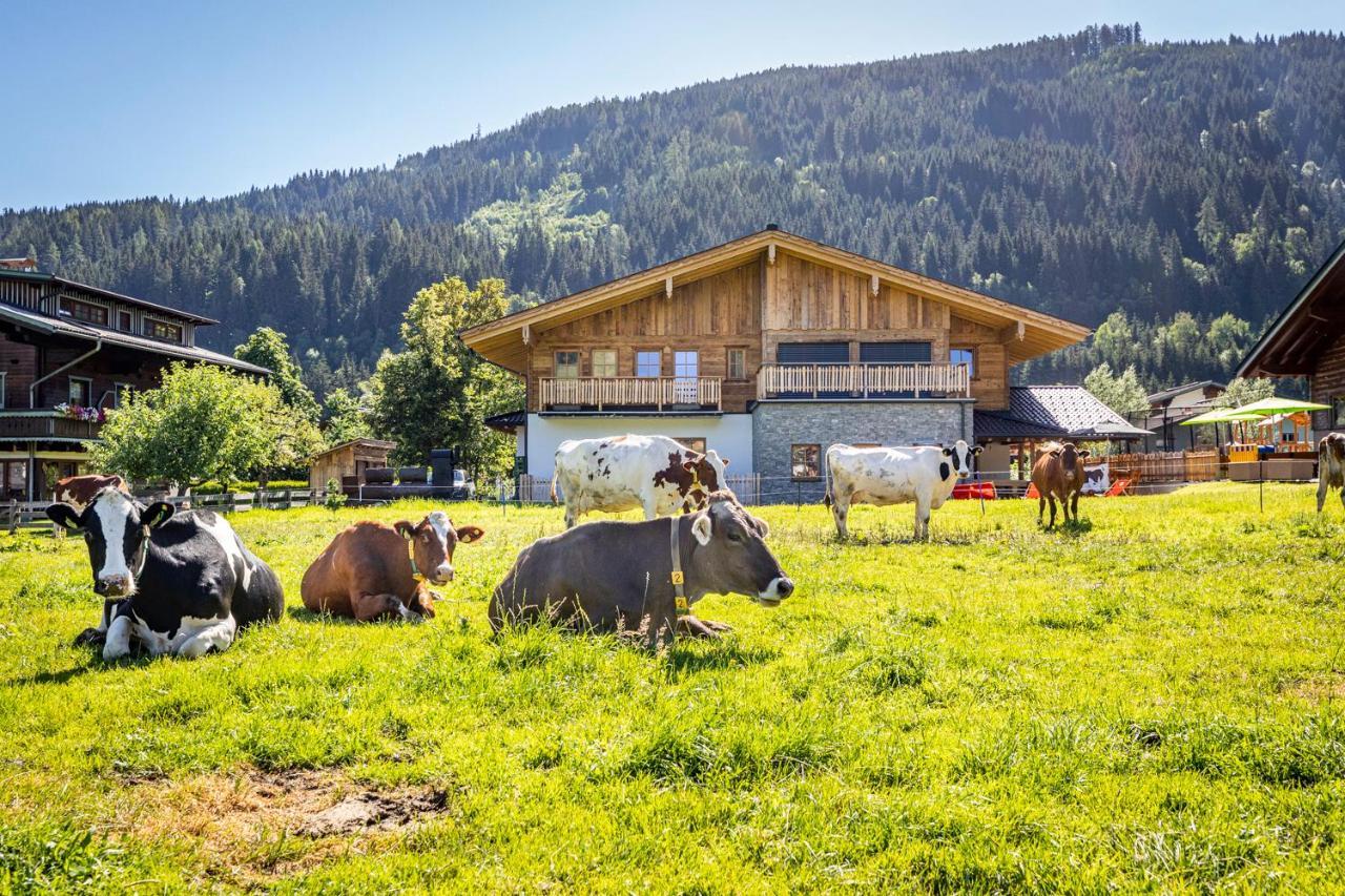 Farm stay Bauernhof Vorderklinglhub *