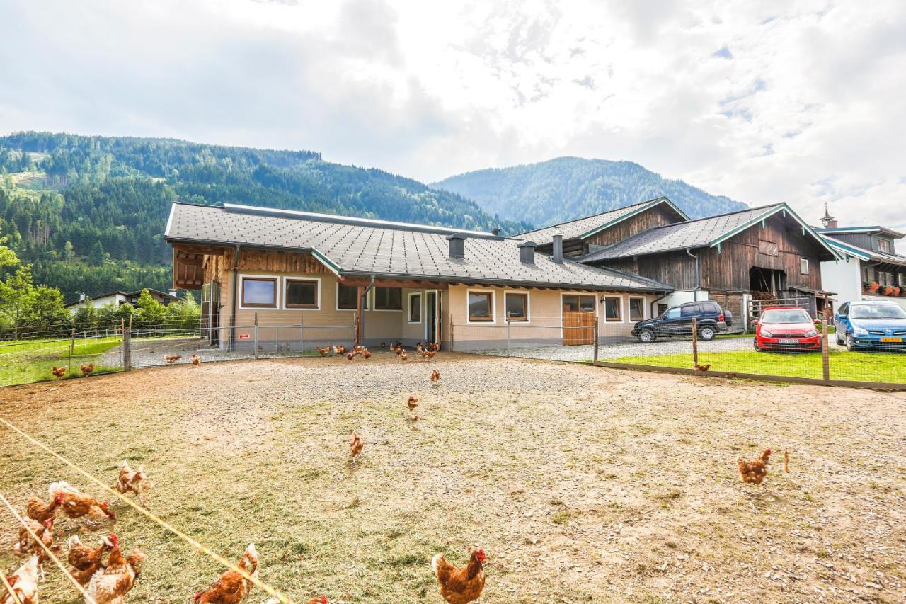 Bauernhof Vorderklinglhub * Flachau